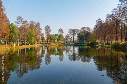 Autumn scenery of Wuhan East Lake Wetland Park Scenic Area © Hao