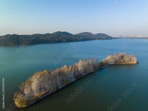 Autumn scenery in Luoyan Island Scenic Area, East Lake, Wuhan photo