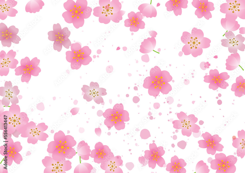 桜　春　和風　フレーム枠  背景
