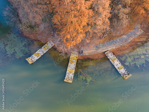 Autumn scenery in Luoyan Island Scenic Area, East Lake, Wuhan photo