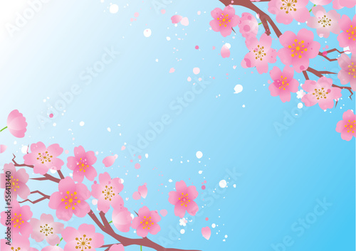 桜　春　和風　フレーム枠  背景
