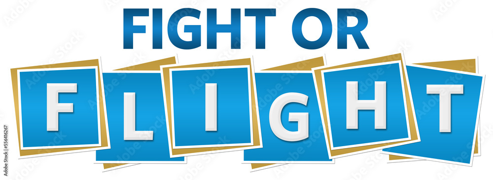 Fight Or Flight Blue Blocks Text Fight Or Flight Blue Blocks Text