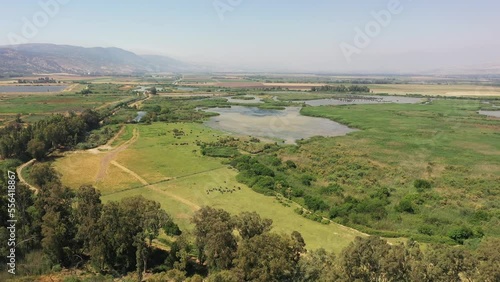 Wallpaper Mural Aerial video of a green area in Israel with a single tree in the middle Torontodigital.ca