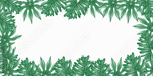 Vector horizontal tropical leaves banners on white background with copy space . Exotic botanical design for cosmetics, spa, perfume, health care products, aroma, wedding invitation.