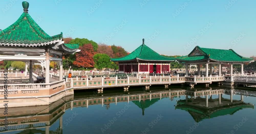 Autumn scenery of Wuhan East Lake Wetland Park Scenic Area Autumn scenery of Wuhan East Lake Wetland Park Scenic Area
