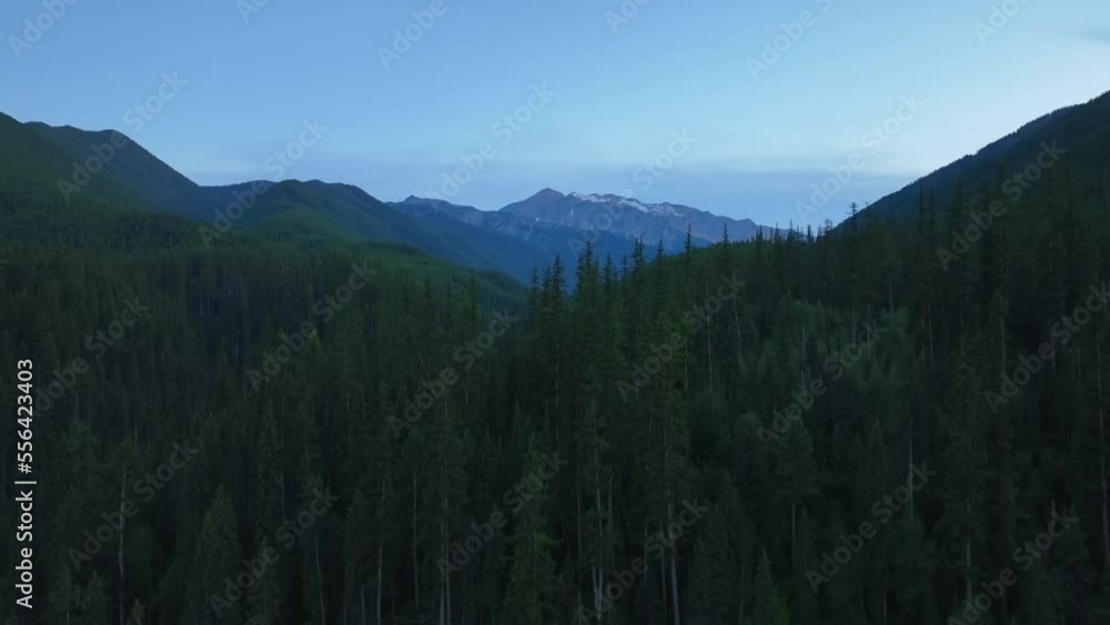 Coniferous Forest On The Valleys Of Flathead River Near Glacier National Park, Montana USA. Aerial Wide Shot Coniferous Forest On The Valleys Of Flathead River Near Glacier National Park, Montana USA. Aerial Wide Shot