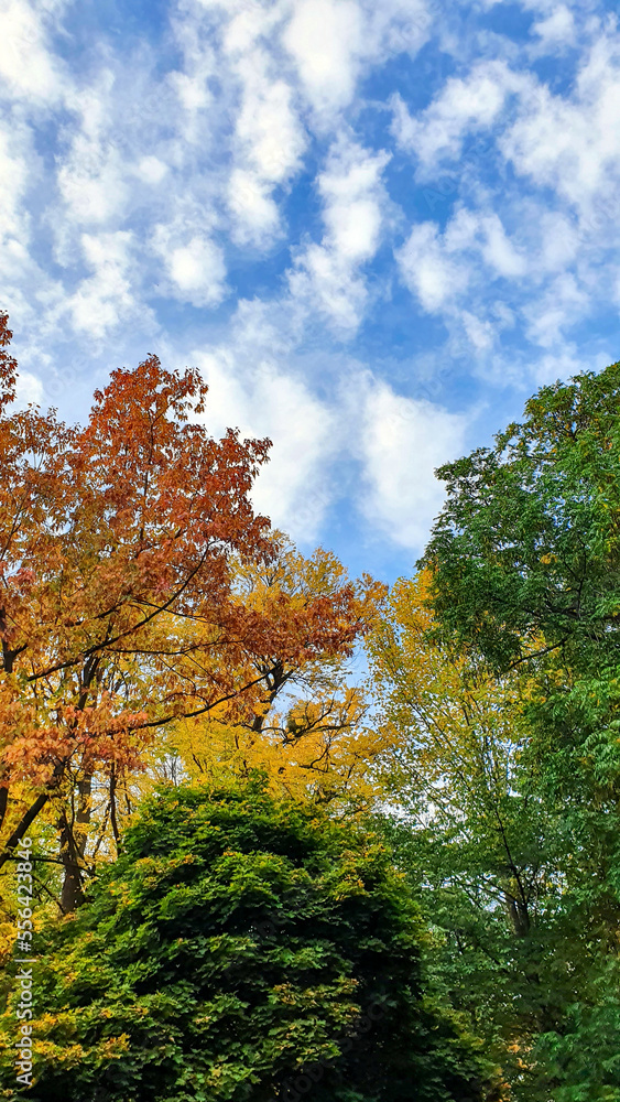 Different colors of Polish autumn Different colors of Polish autumn