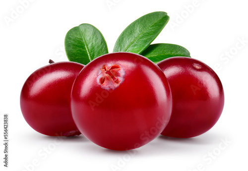 Cranberry with leaves isolated. Cranberries on white background. Three cranberry berries with clipping path. Full depth of field.