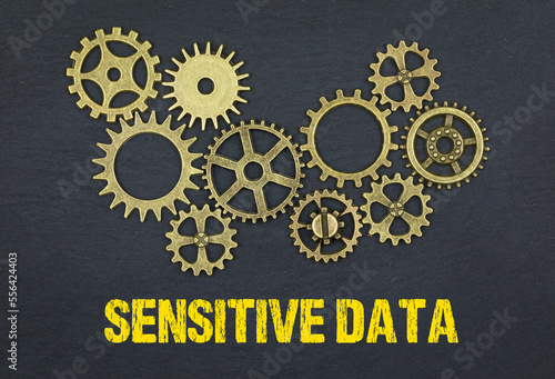 Sensitive Data 