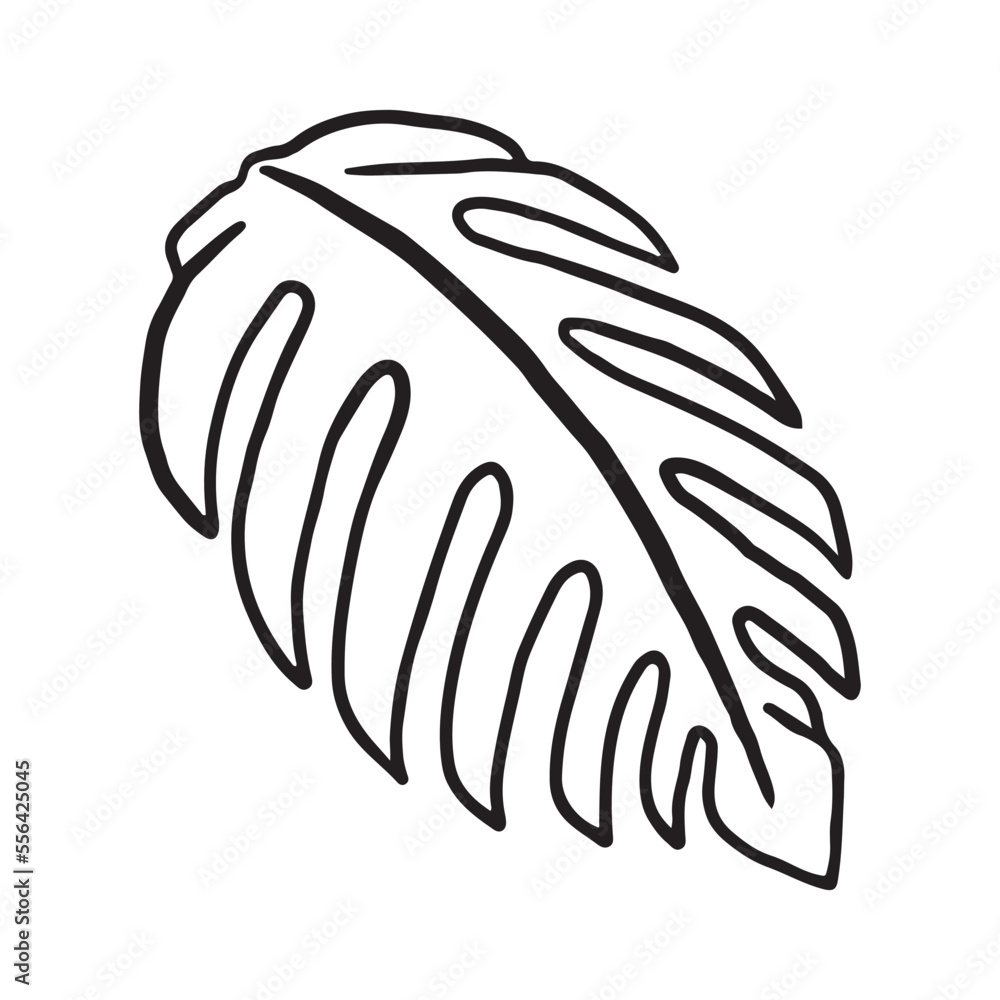 Tropical Plant leaf Doodle icon Tropical Plant leaf Doodle icon