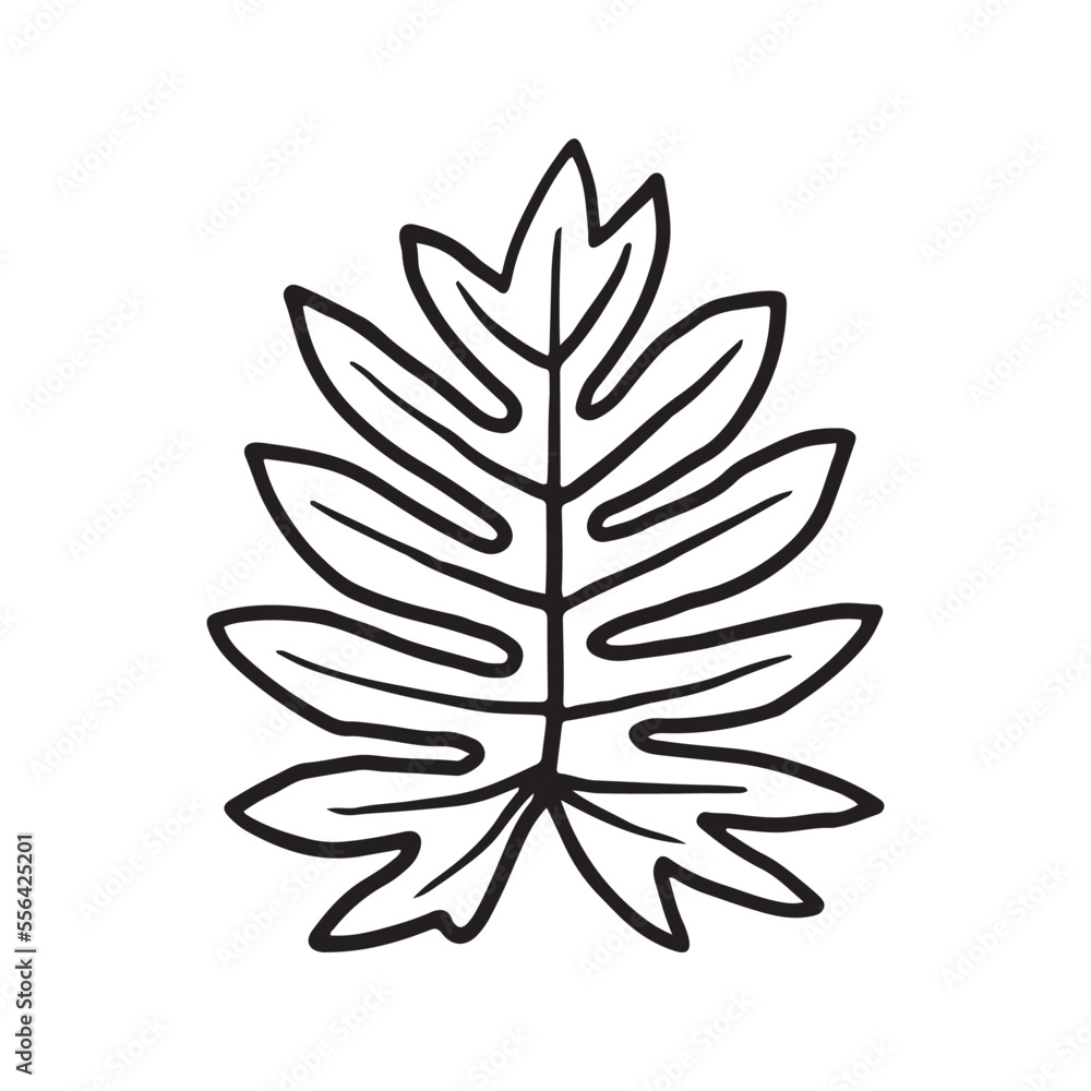 Tropical Plant leaf Doodle icon Tropical Plant leaf Doodle icon