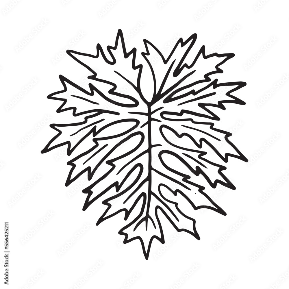 Tropical Plant leaf Doodle icon Tropical Plant leaf Doodle icon