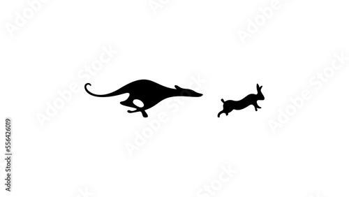 dog chasing rabbit