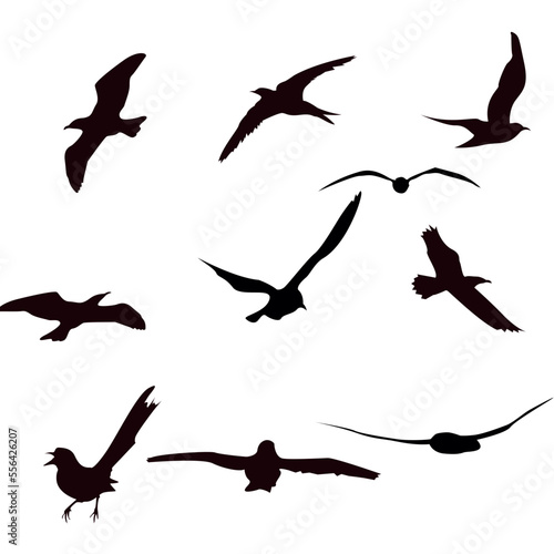   A Flock of Flying Birds. Vector shiluet © Rozy