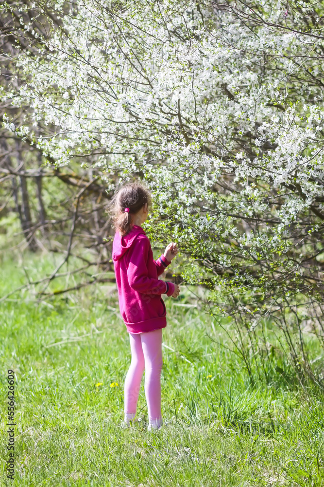 Little girl walks in a spring park with blooming trees Little girl walks in a spring park with blooming trees