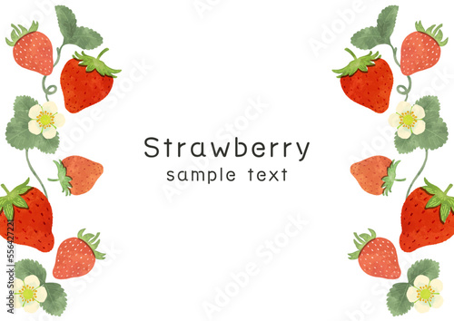 いちごの縦フレームイラスト