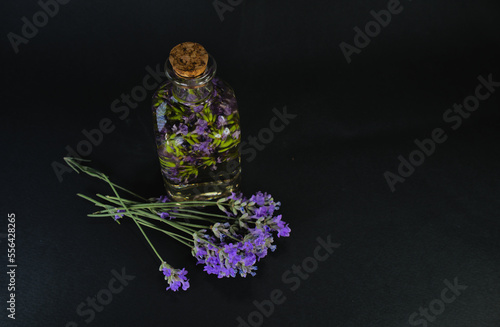 Lavender oil in glass bottle near fresh lavender flowers on black background