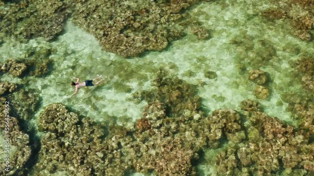 Aerial drone of Man snorkeling in turquoise tropical lagoon. tourist snorkeling in coral reef. Small lagoon with turquoise water. El nido, Philippines, Palawan. Summer and travel vacation concept. Aerial drone of Man snorkeling in turquoise tropical lagoon. tourist snorkeling in coral reef. Small lagoon with turquoise water. El nido, Philippines, Palawan. Summer and travel vacation concept.