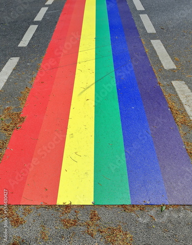 Rainbow crossing painted in the LGBTQ flag pattern on the Esplanade. Cairns-Australia-358