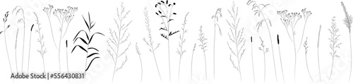 Field and meadow herbs, black outline, trend sketch for eco design. Sketch of medicinal plants, vector drawing for packaging or textile.