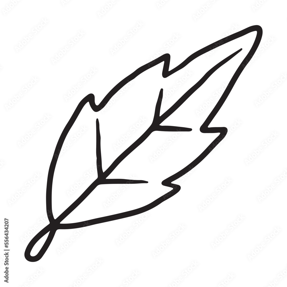 Dry autumn leaf Doodle icon Dry autumn leaf Doodle icon