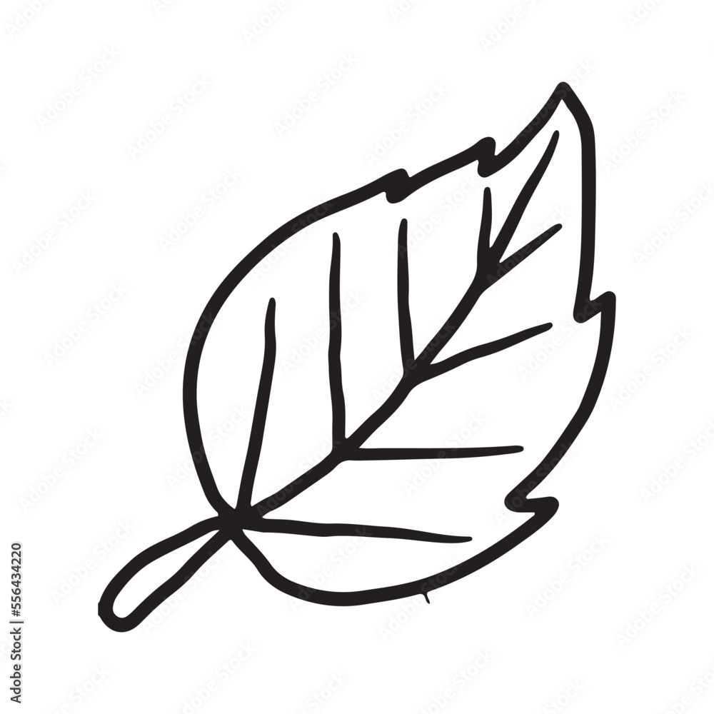 Dry autumn leaf Doodle icon