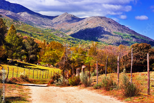 Camino en la Sierra de Gredos