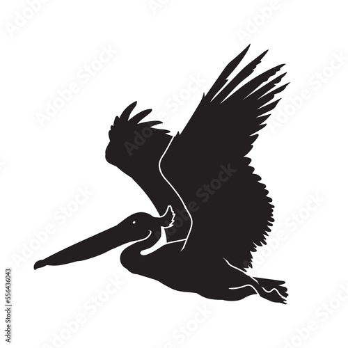 Pelican bird vector animal black silhouette.