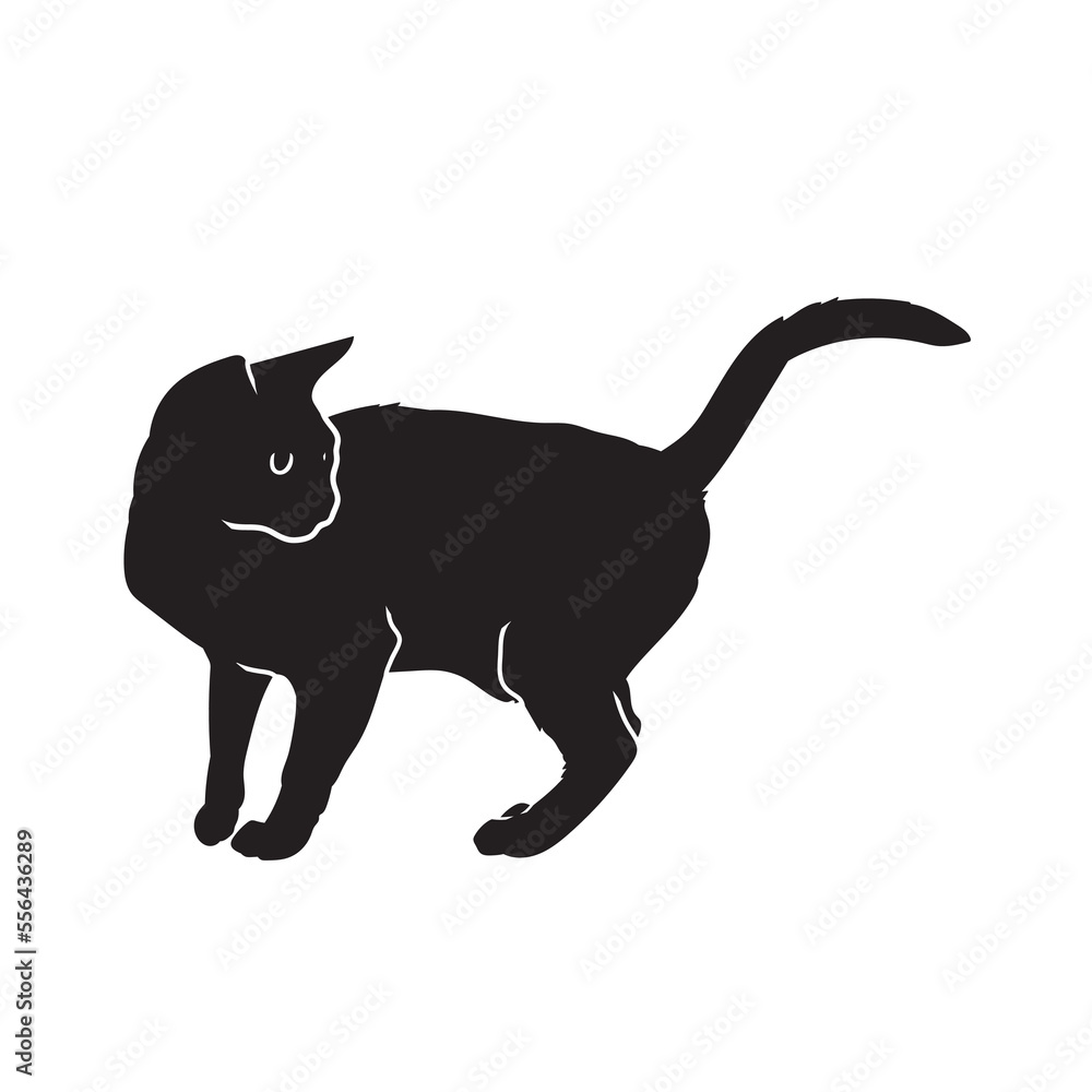 Wild cat vector animal black silhouette.