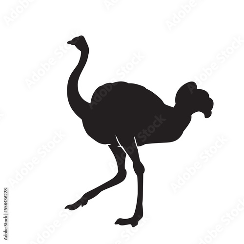 Ostrich vector animal black silhouette.