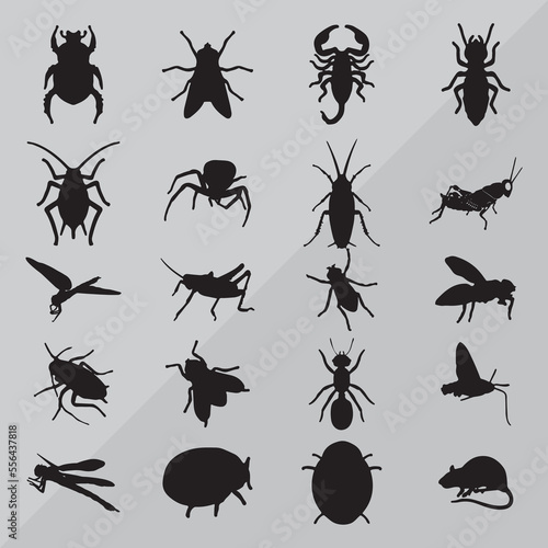 collection of insects © Ahsan