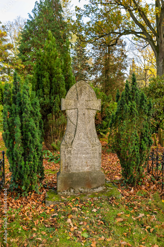 alter Grabstein zwischen grünen Sträuchern auf einem Friedhof in Osnabrück alter Grabstein zwischen grünen Sträuchern auf einem Friedhof in Osnabrück