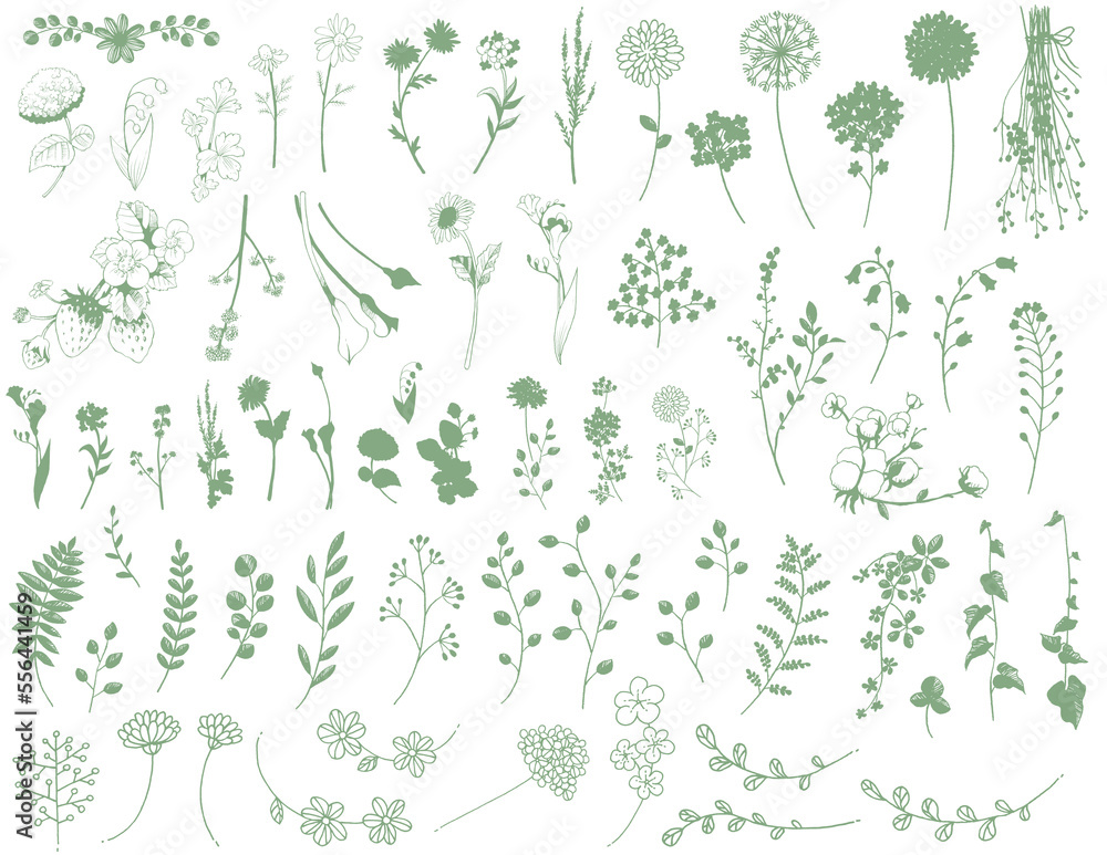 Fototapeta premium 手描き線画の花と葉と植物の素材セット