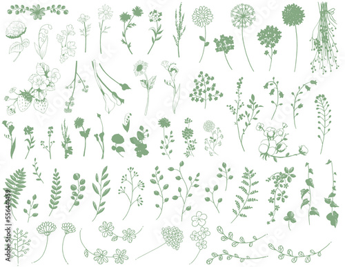 手描き線画の花と葉と植物の素材セット