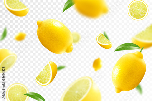 Murais de parede Lemon citrus background