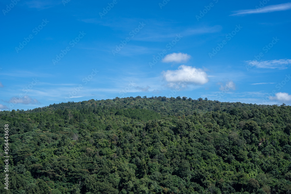 Obraz premium Mountain view at Doi Inthanon National Park, Chiang Mai, Thailand