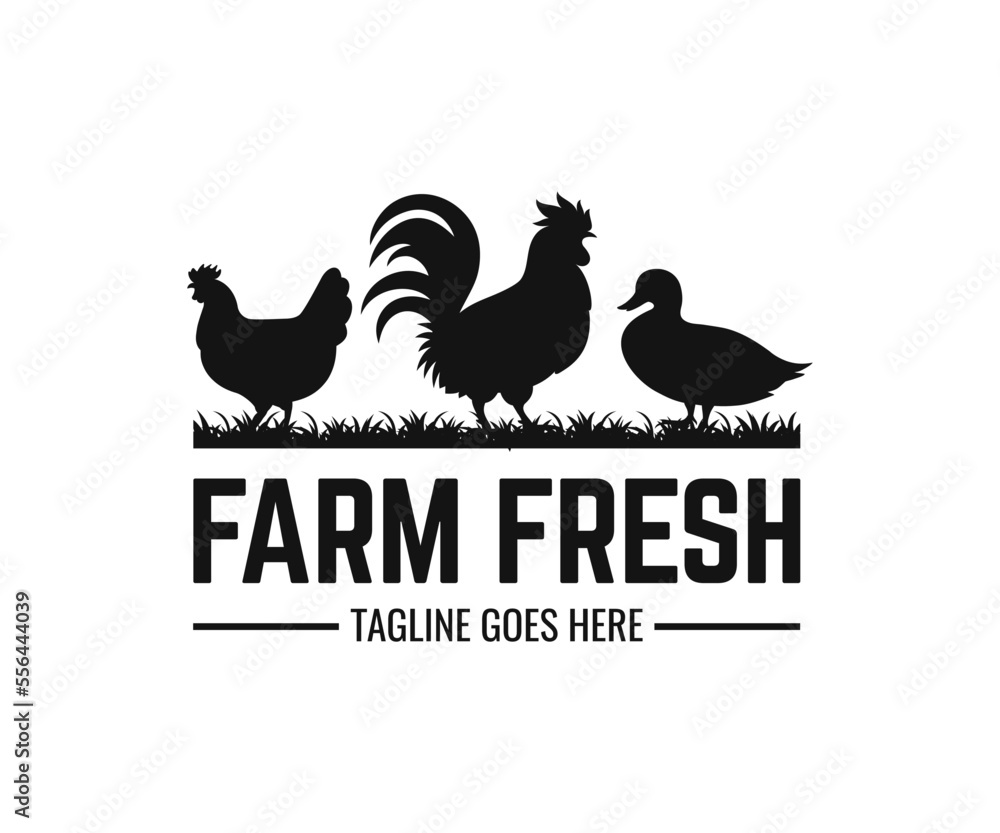 Fototapeta premium Poultry farms logo design vector. Farm logo design template.