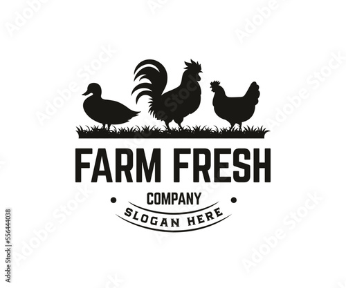 Poultry farms logo design vector concept. Animal farm logo design template