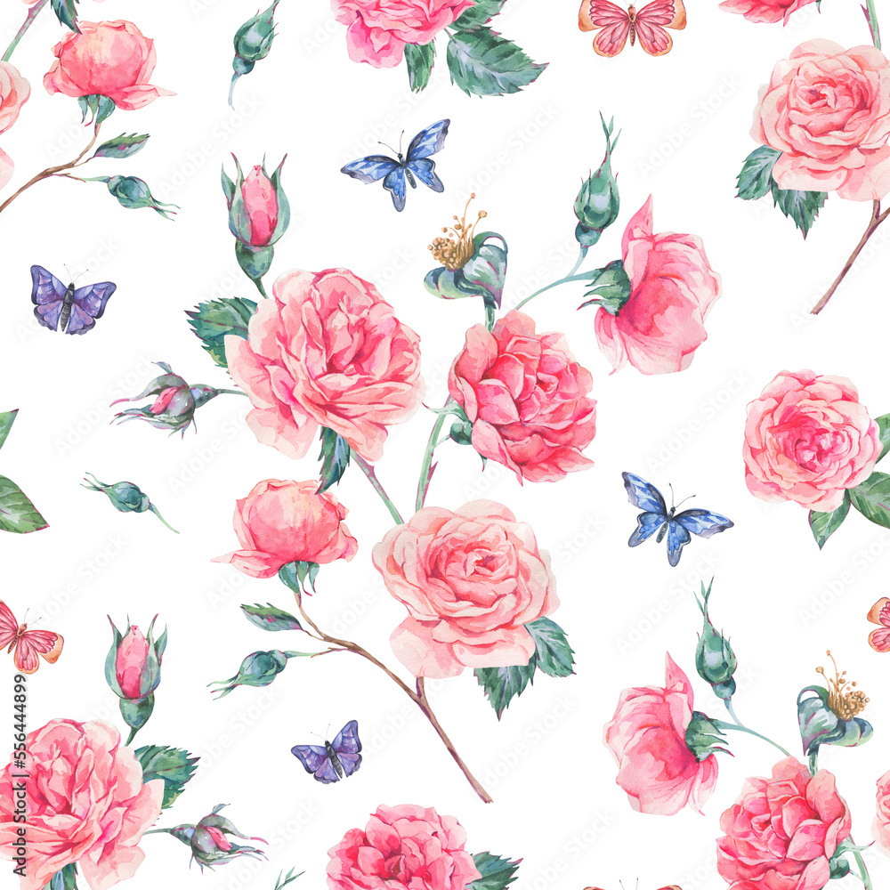 Watercolor vintage garden rose bouquet seamless pattern, botanical floral texture on white