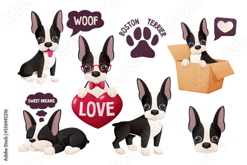 Set Cute Boston terrier stickers, cool sweet puppy in cartoon style isolated on white background. Cute dog, print design photo