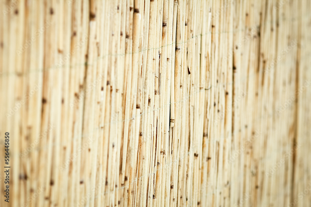 Naklejka premium A Beautiful reed fence wall on pyrode background
