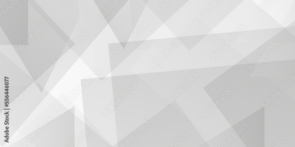 white paper triangle abstract background. white paper texture and bussniess ,card,flyer,brousher background.
white paper triangle abstract background. white paper texture and bussniess ,card,flyer,brousher background.