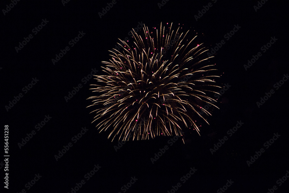 Festive fireworks against the black sky Festive fireworks against the black sky