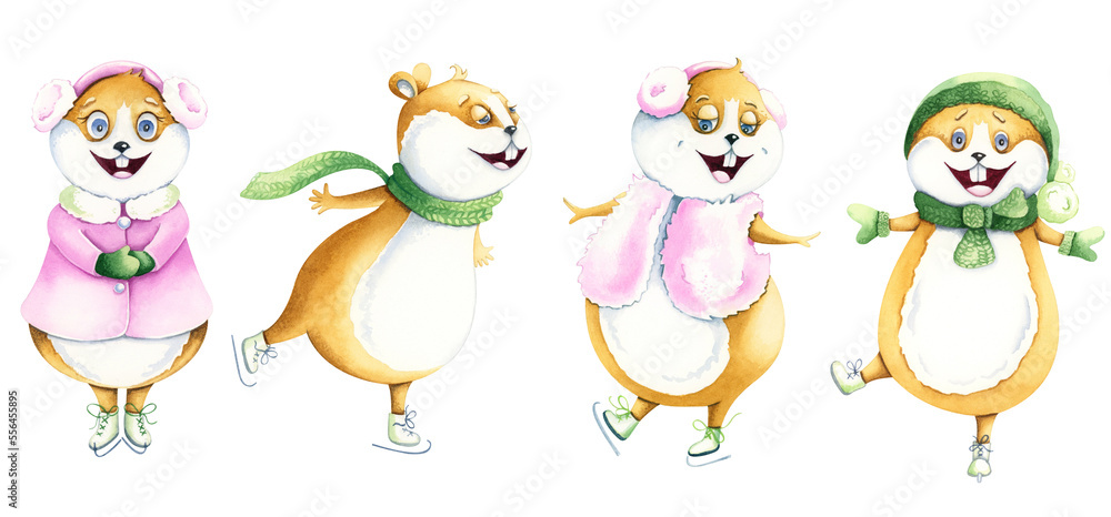 Set of watercolor characters. Hamsters skating. Set of watercolor characters. Hamsters skating.