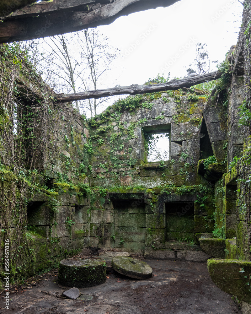 Ruinas de un molino en Cernadela (Mondariz, Galicia)