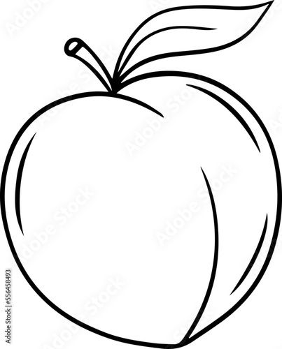 Illustration of a peach in a hand-drawn style.