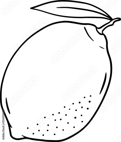 Illustration of a lemon in a hand-drawn style.