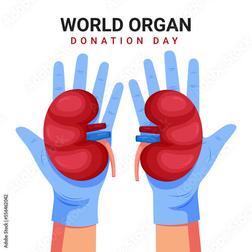 Kidney and medical vector illustration design for world organ donation day