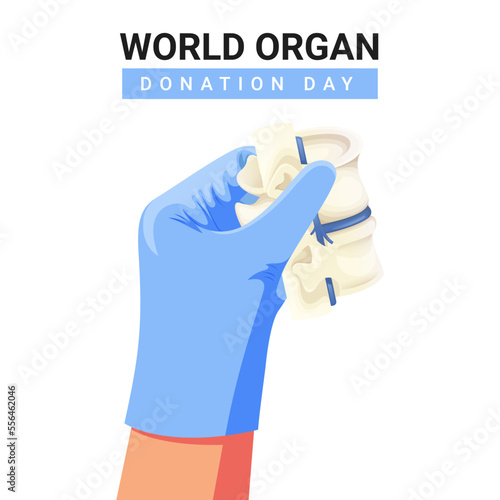 Spine vector illustration design for world organ donation day