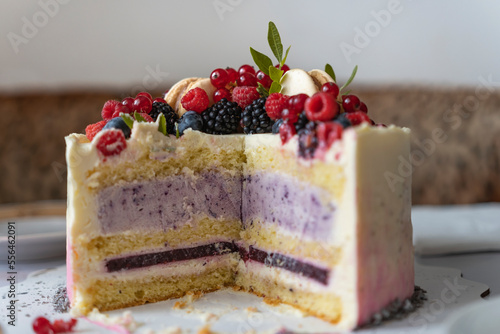 Sponge cake with yogurt and fruit filling in section. Delicious dessert decorated with fresh berries. Close-up
